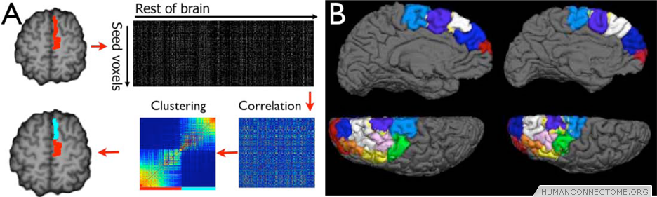 Components Of The Human Connectome Project Multi Modal Data Integration Connectome